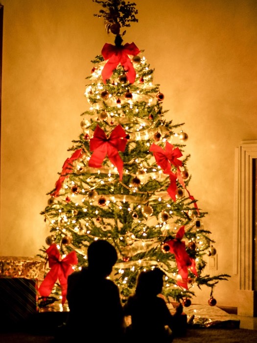 Kerstboom versieren inspiratie classic christmas