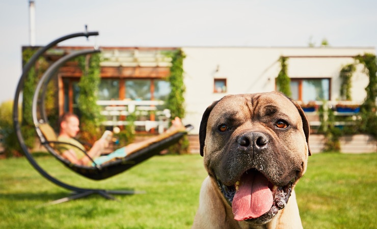 Top 5 tuin essentials die onmisbaar zijn deze zomer!