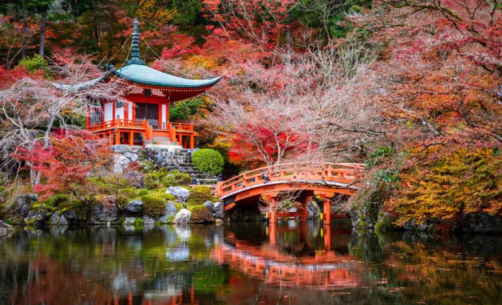 5 ideeën voor een Japanse tuin
